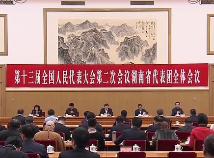 湖南代表团举行第九次全体会议