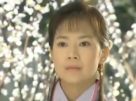 媳妇的眼泪 8集