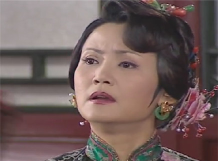 少年嘉庆 15集
