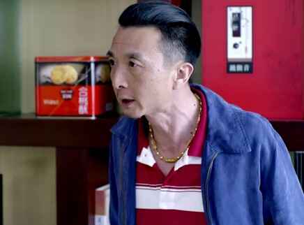 空巢姥爷 21集