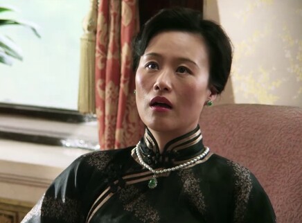 远去的飞鹰 16集