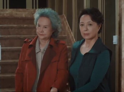 远方的家 17集