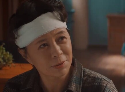 远方的家 24集