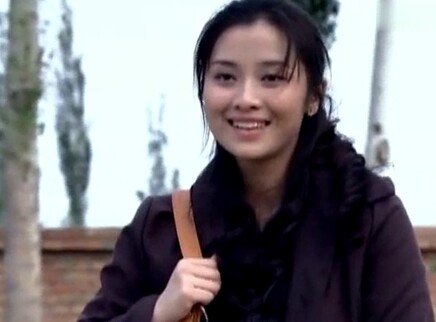 胡杨女人 20集