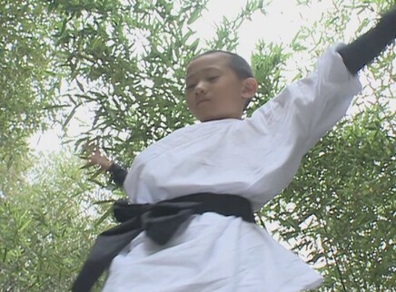 米卡学文化 17集