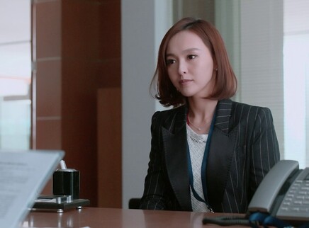 格子间女人 DVD版 15集