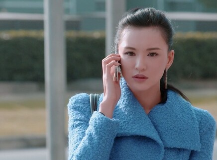 格子间女人 DVD版 18集