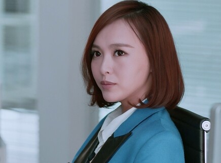 格子间女人 DVD版 21集