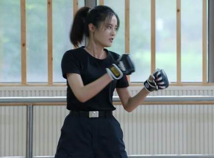 学警旋风 9集