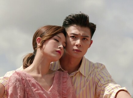 只为遇见你 DVD版 46集