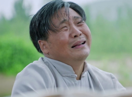 兰桐花开 37集