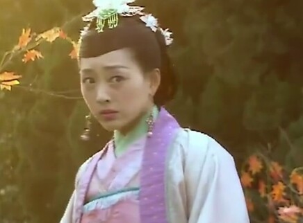 带刀女捕快 5集