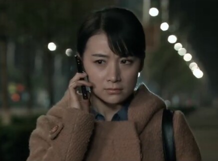 再婚进行时 35集