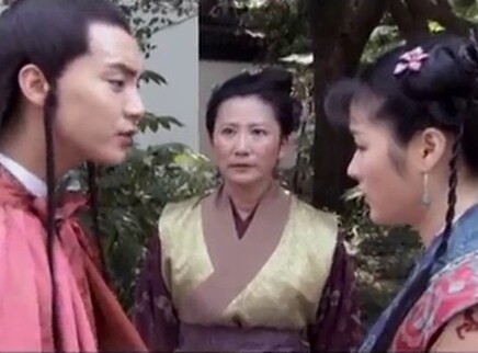 黛玉传 29集