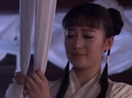 黛玉传 35集