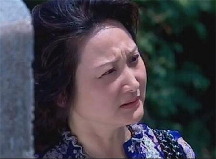 团委书记 32集