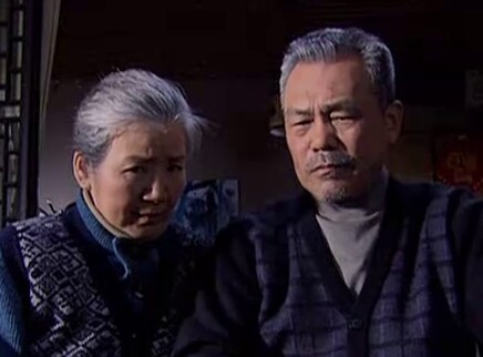 老伴 9集