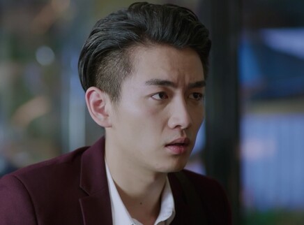 舒克与桃花 26集