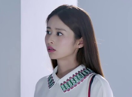 舒克与桃花 28集