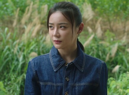 江山如此多娇 DVD版 9集