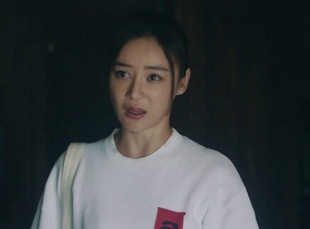 江山如此多娇 DVD版 17集
