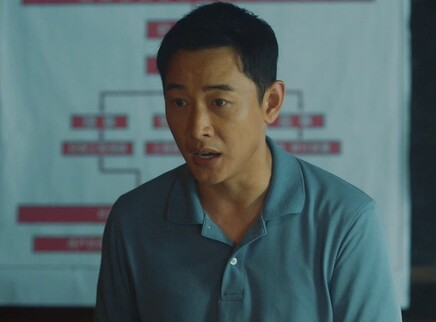 江山如此多娇 DVD版 28集