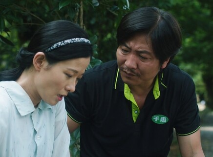 江山如此多娇 DVD版 29集