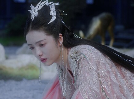 玲珑 36集