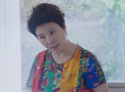 匆匆的青春 8集