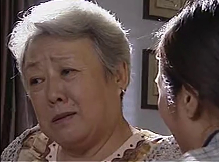 亲情协议 13集