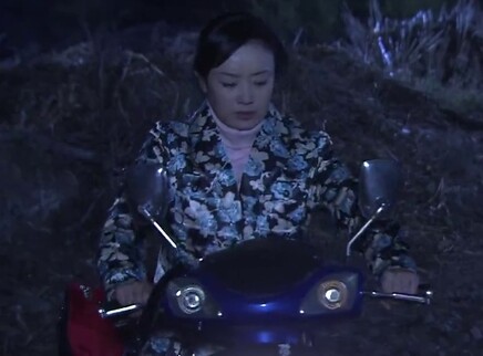 绿野 20集