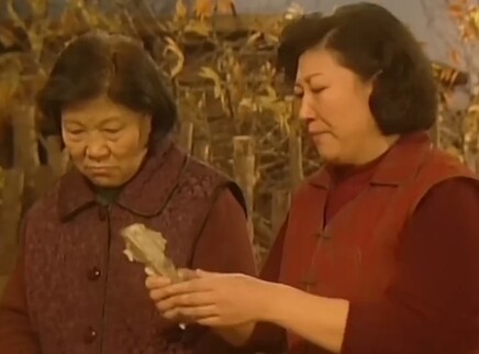 农家十二月 20集