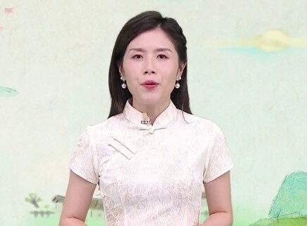 365天天古诗词 100集