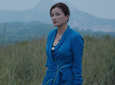 婚事 20集