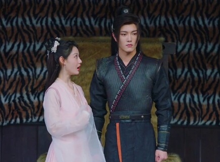 奈何寨主不好当 国际版 13集