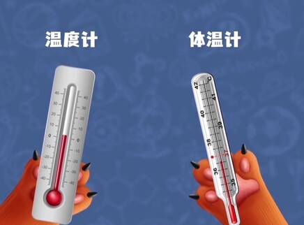 问号猫 第二季 5集