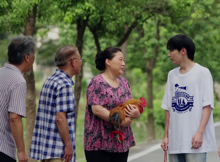 洋孙子回乡 8集