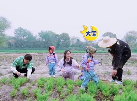 三孩来了2 加更版 5集