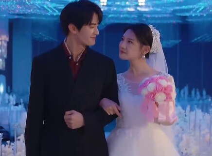 回到婚礼那一天 88集