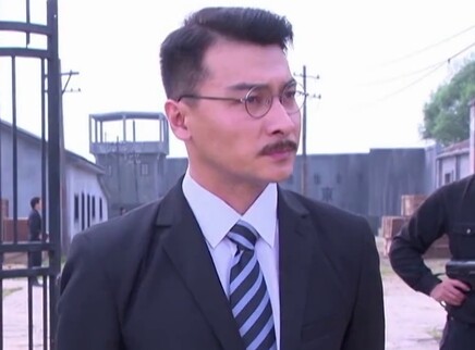 虎胆神鹰 25集