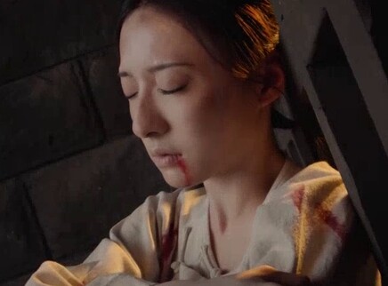 还珠 越南语版 20集